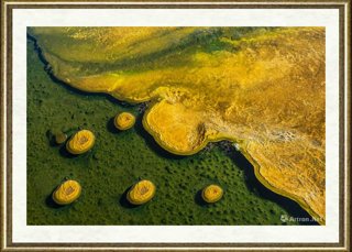 王岩_黄石印象 Yellowstone National Park